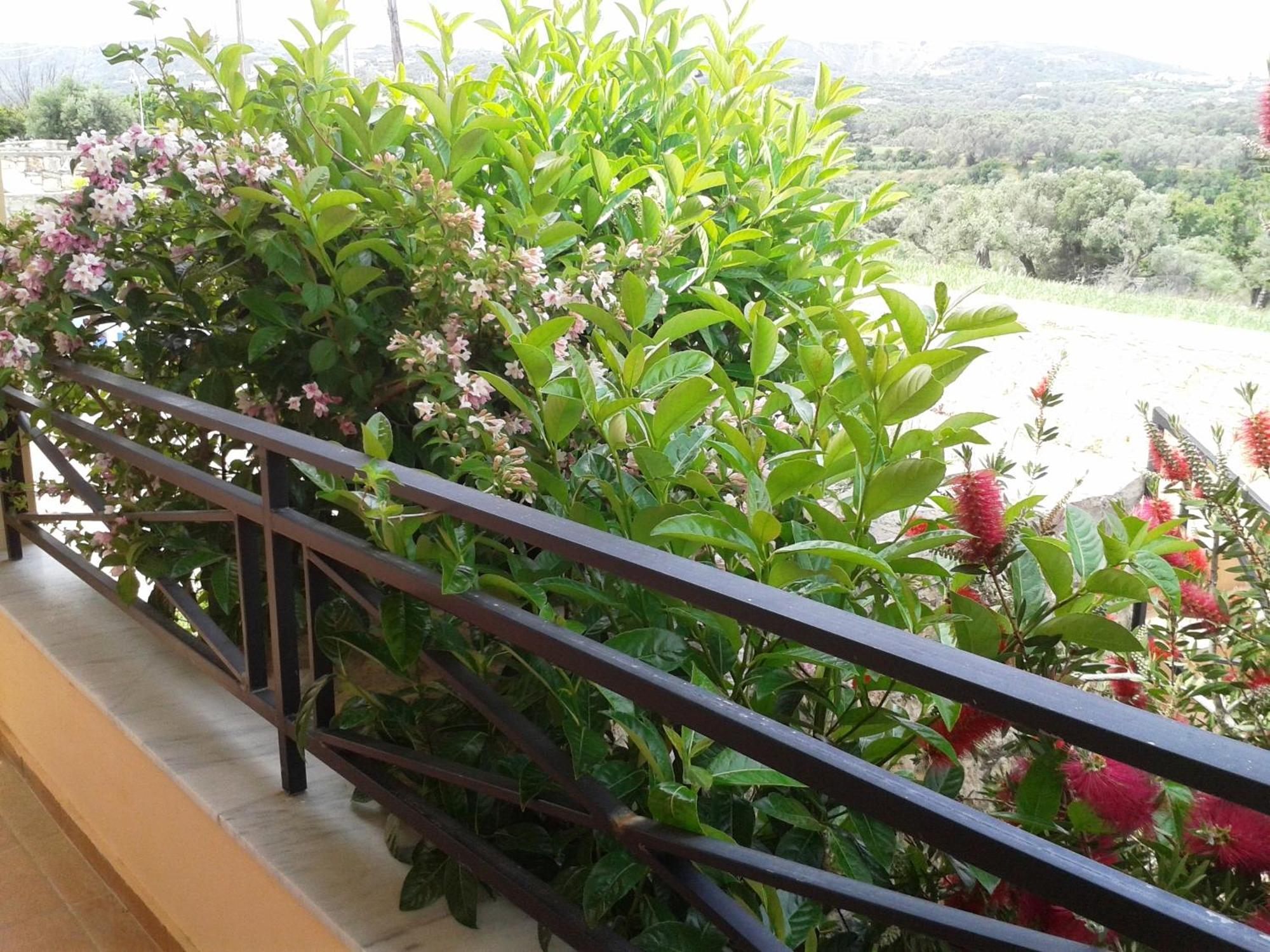 Helidonia Villas Pigí Rom bilde